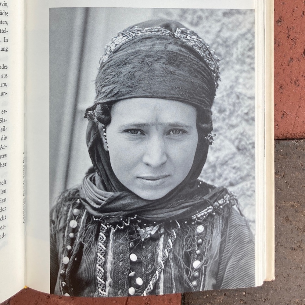 Vintage 1964 Yugoslavia Book Adriatic Karawanks Travelogue German Ernst Neumayr